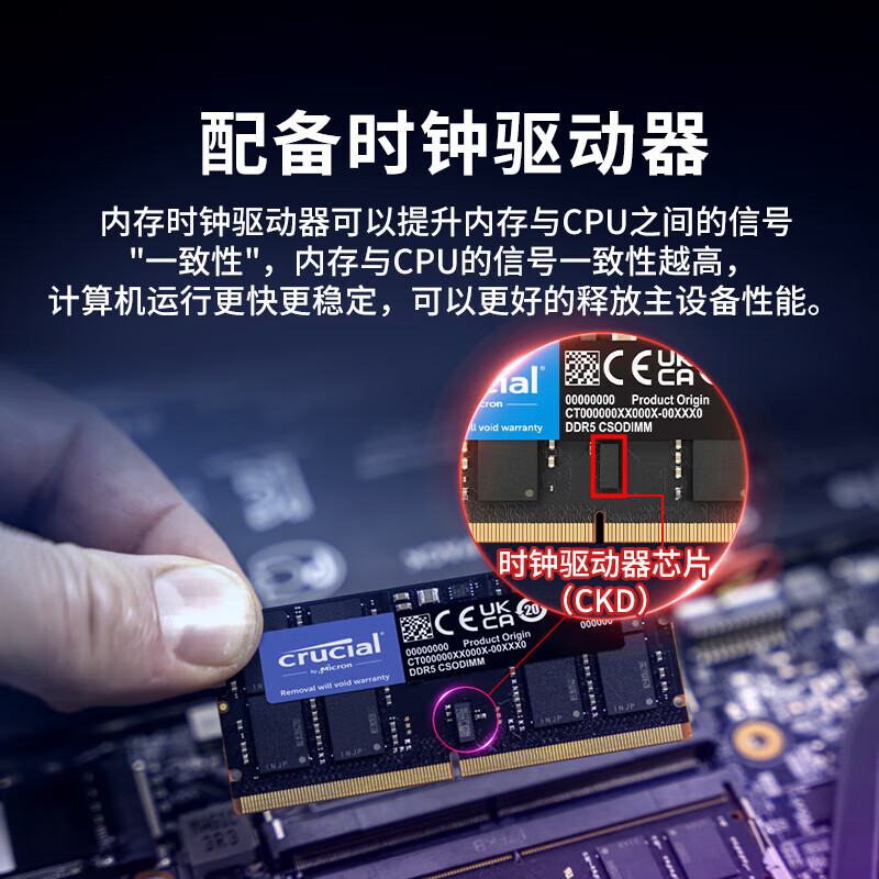 Crucial Crucial CT2K16G64C52CS5 笔记本内存条套装 32GB(16GB*2) DDR5 6400频率 CSODIMM CKD(时钟驱动器) 计价单位:组 Crucial Crucial CT2K16G64C52CS5 笔记本内存条套装 32GB(16GB*2) DDR5 6400频率 CSODIMM CKD(时钟驱动器) 计价单位:组