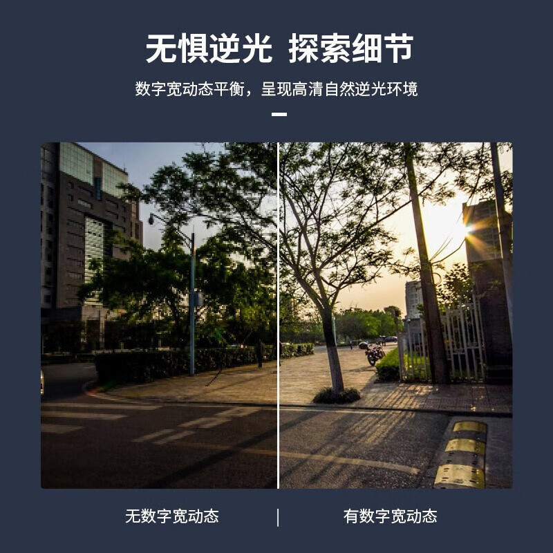 大华  DH-IPC-HDW1230C-A  摄像机 200万红外定焦海螺网络摄像机 计价单位:个