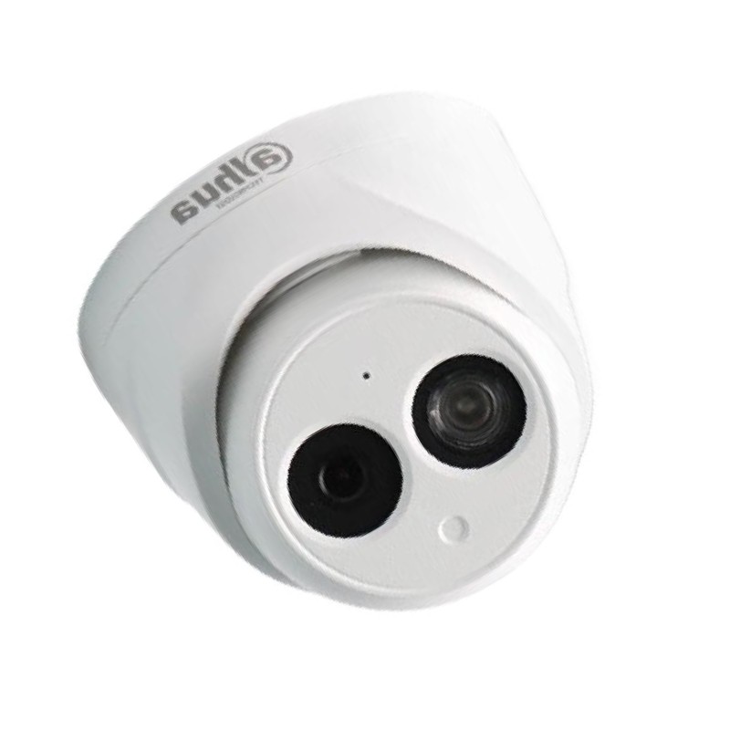 大华  DH-IPC-HDW1230V-A 200万红外定焦海螺网络摄像机 8MM 计价单位:台