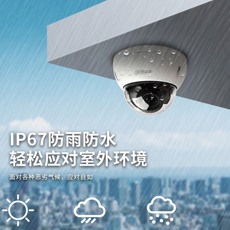 大华 DH-IPC-HDBW2233DR-SA 200万星光红外定焦防暴半球网络摄像机 3.6mm 计价单位:台 大华 DH-IPC-HDBW2233DR-SA 200万星光红外定焦防暴半球网络摄像机 3.6mm 计价单位:台