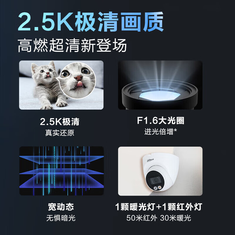 大华  DH-IPC-HDW1530DV-A-IL 经典-500万双光定焦海螺网络摄像机 2.8mm 计价单位:台