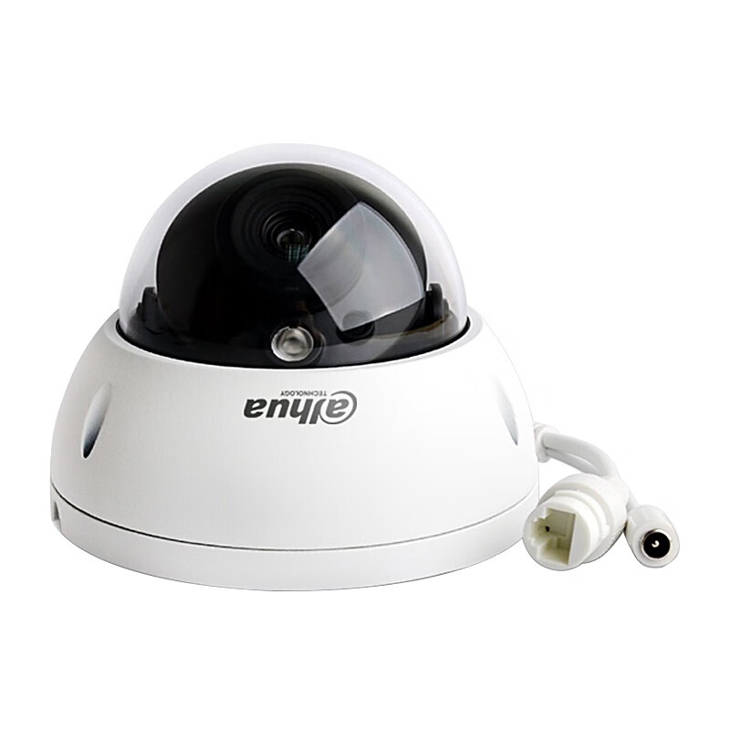 大华  DH-IPC-HDBW2233DR-SA 200万星光红外定焦防暴半球网络摄像机 3.6mm 计价单位:台
