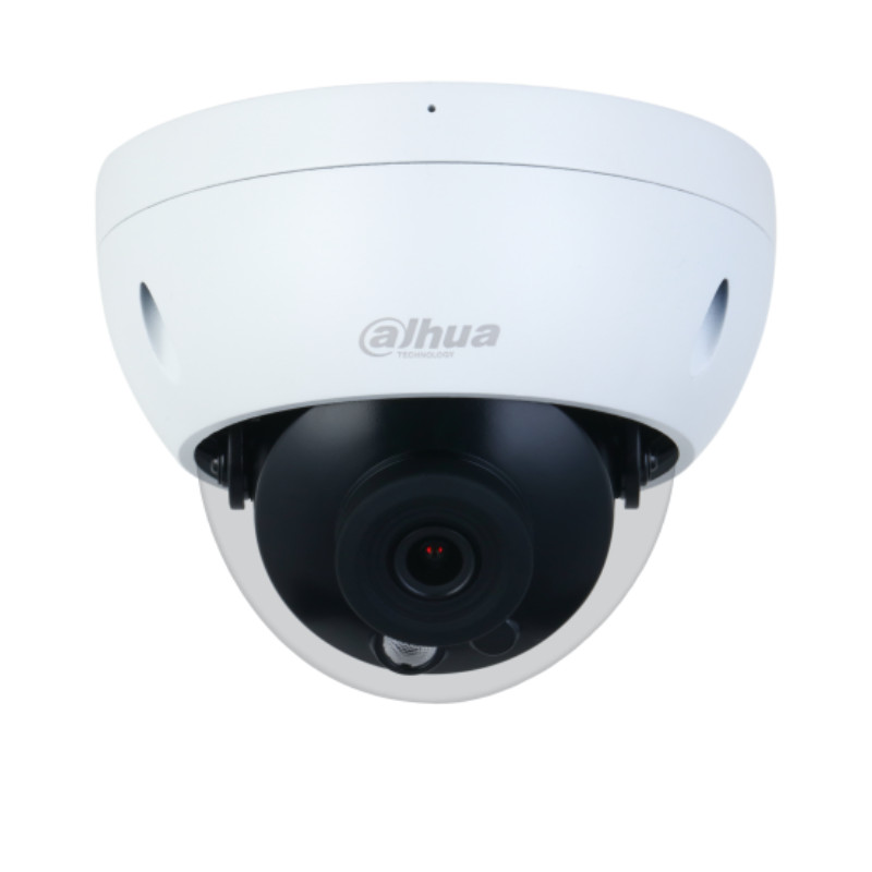 大华  DH-IPC-HDBW2433R-SA  400万星光红外定焦防暴半球网络摄像机  2.8mm 6mm 3.6mm 计价单位:个