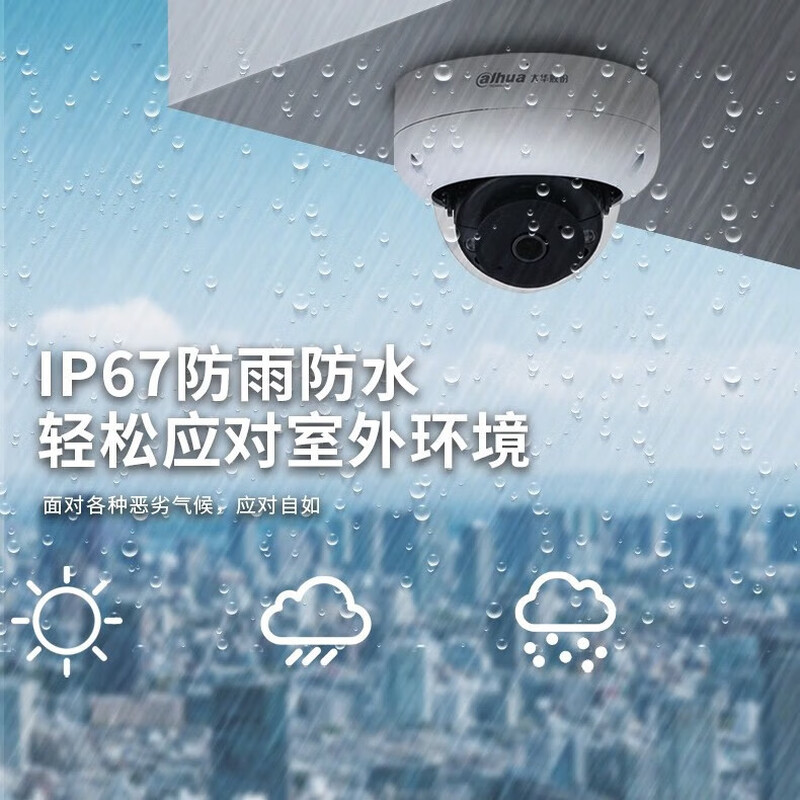 大华  DH-IPC-HDBW4443DR-SA-P 400万红外定焦大广角防暴半球网络摄像机  2.1mm 计价单位:个