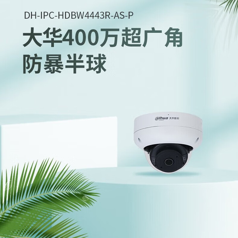 大华  DH-IPC-HDBW4443DR-SA-P 400万红外定焦大广角防暴半球网络摄像机  2.1mm 计价单位:个