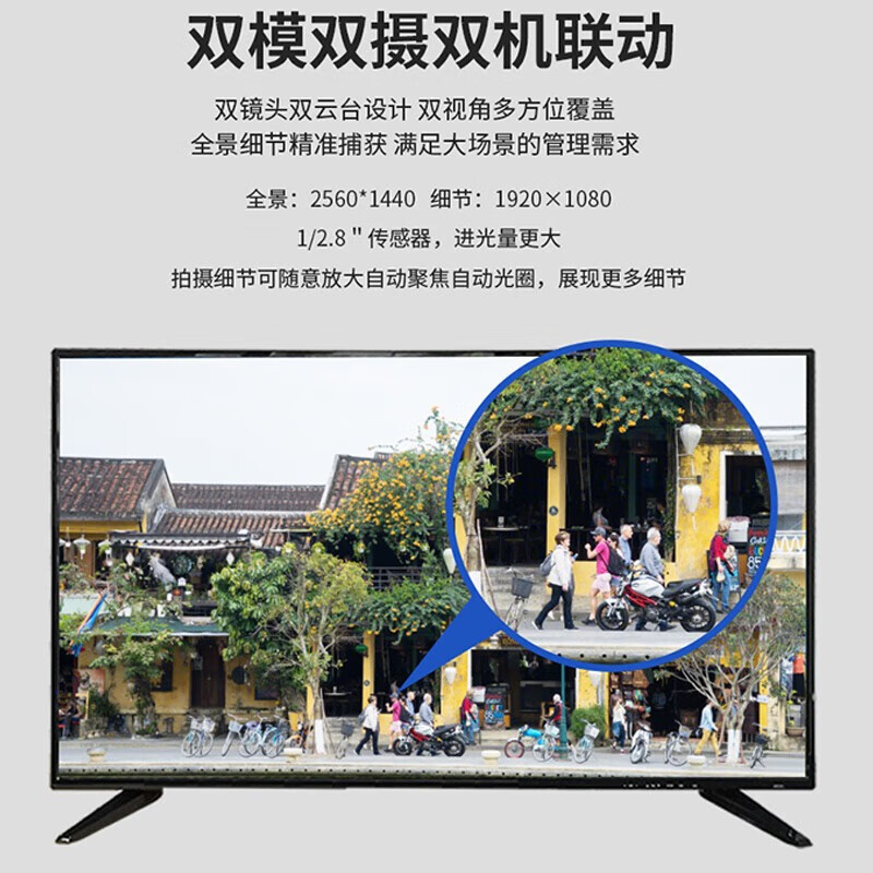 DAHUA  DH-SDT7223-4F-AD3-PV-i 声光警戒7C枪球-易智能200万星光网络球机 计价单位:台