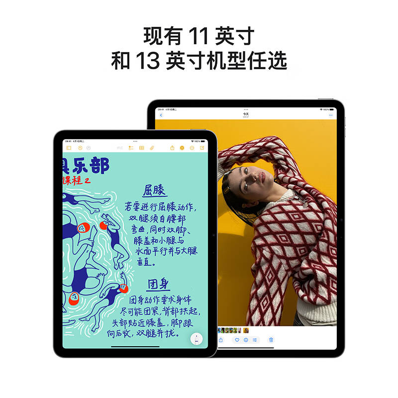 苹果 Apple iPad Air 11英寸平板电脑 2025年款 256GB WLAN版 紫色 含Pencil Pro 磁吸触控笔手写笔 计价单位:套