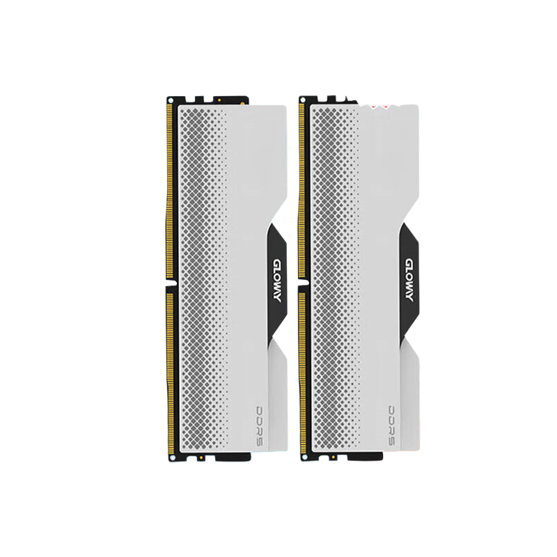 光威 GLOWAY DDR5 6000 龙武系列 台式机内存条 马甲条 海力士M-die CL30 深空银 32GB 2条套装(16GB*2) 计价单位:套