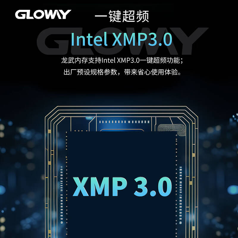 光威 GLOWAY DDR5 6000 龙武系列 台式机内存条 马甲条 海力士M-die CL30 深空银 32GB 2条套装（16GB*2） 计价单位:套